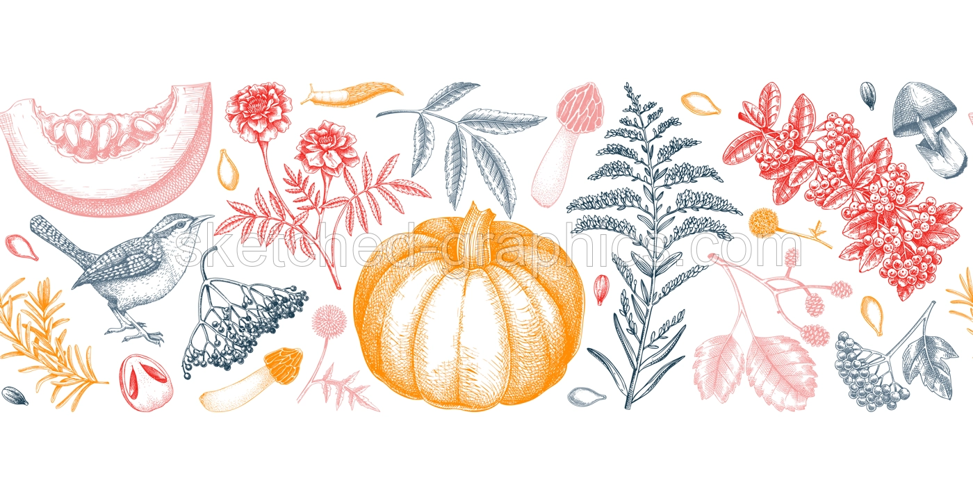 Warm autumn ribbon in sketch style. Fall leaves, pumpkins, berries, mushrooms  hand-drawn vector illustrations. Thanksgiving seamless pattern. NOT AI generated Illustration